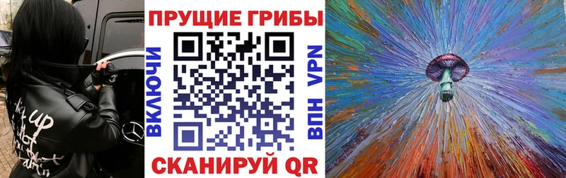 где купить наркоту  Димитровград  Галлюциногенные грибы GOLDEN TEACHER 